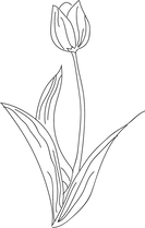 Desenho de uma flor